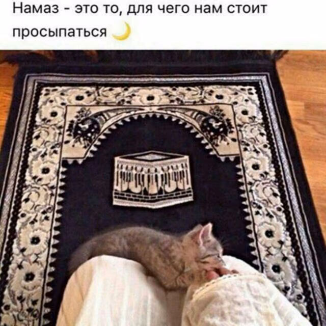 0c5cb81027ea75945a13433ff016cea9.jpg