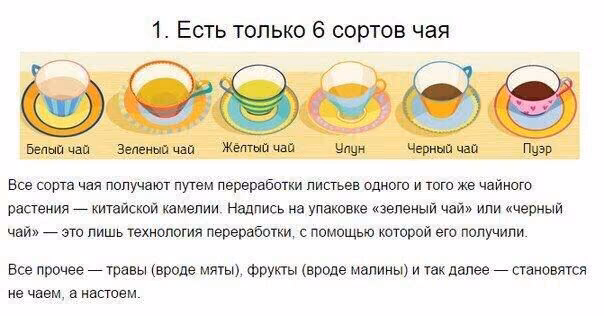 0c6110c2a73175ed4986d6b1e2646022.avif