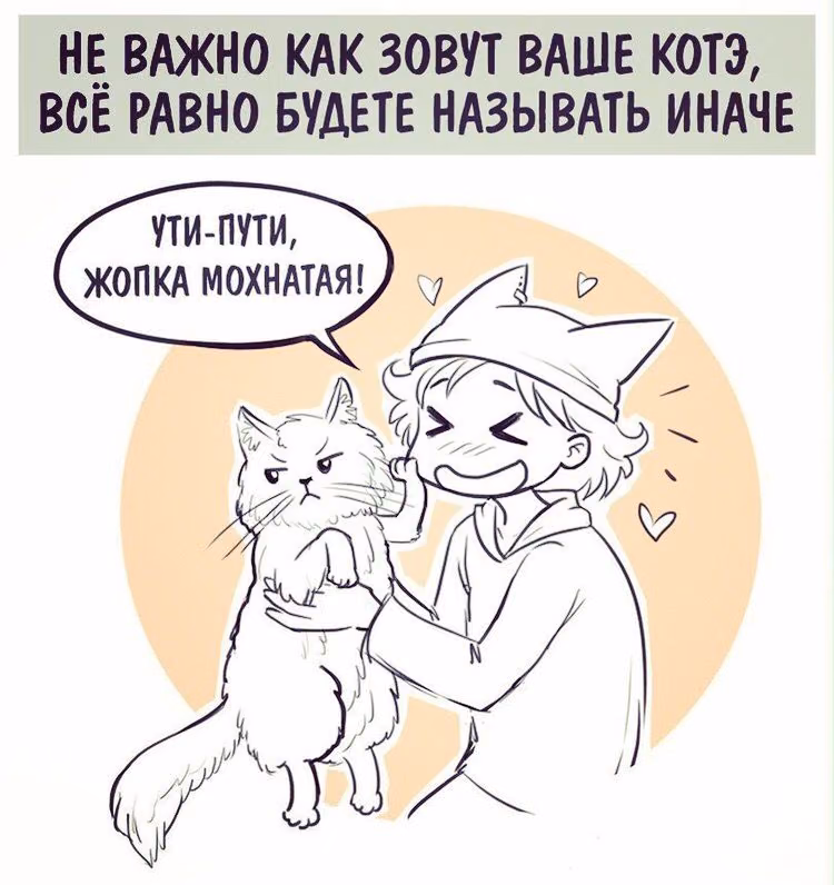 0c6e762144b499f23b35afddff37e005.jpg