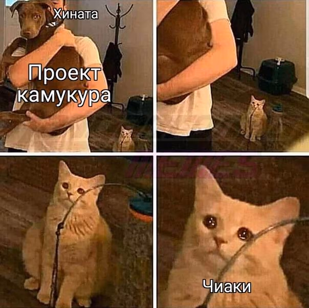 0c75a428f7ca56a16f4c74d6d9a2edba.jpg