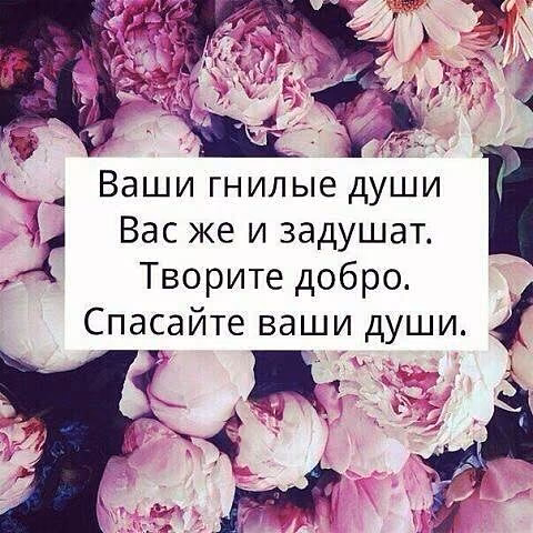 0c76f374cb9a4859bdefbec82d1489de.jpg