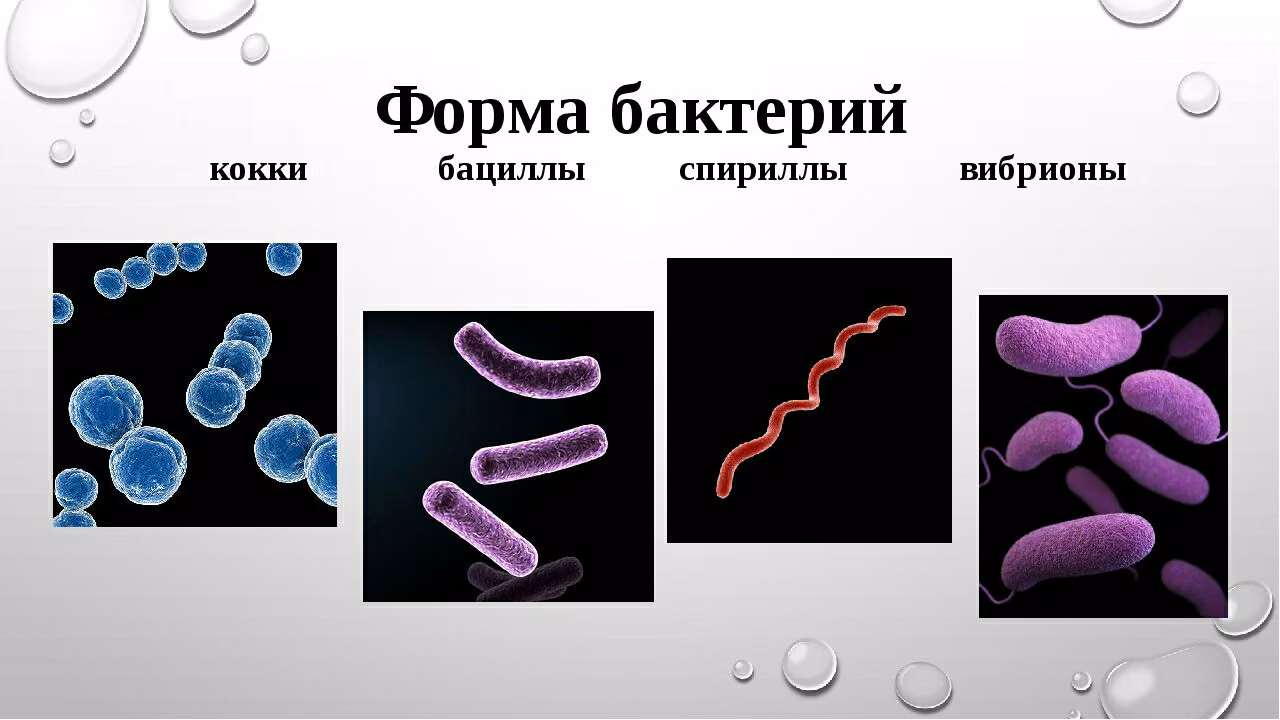 0c796ed42ce88512157071d78da1e3cb.avif