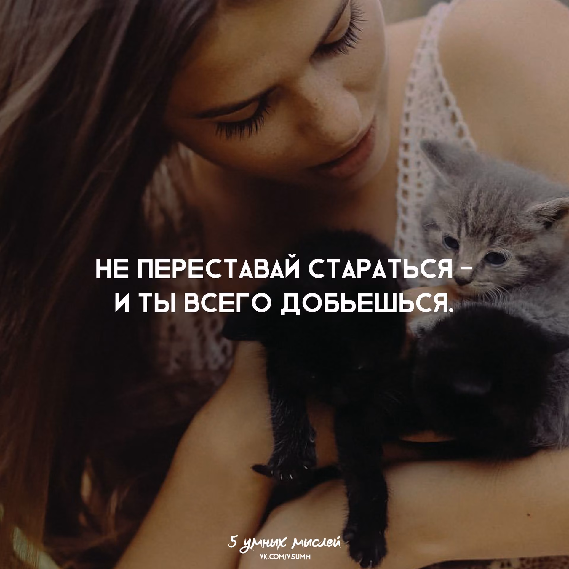 0c83ad2e9975f47943ff4e9fadd032c3.jpg