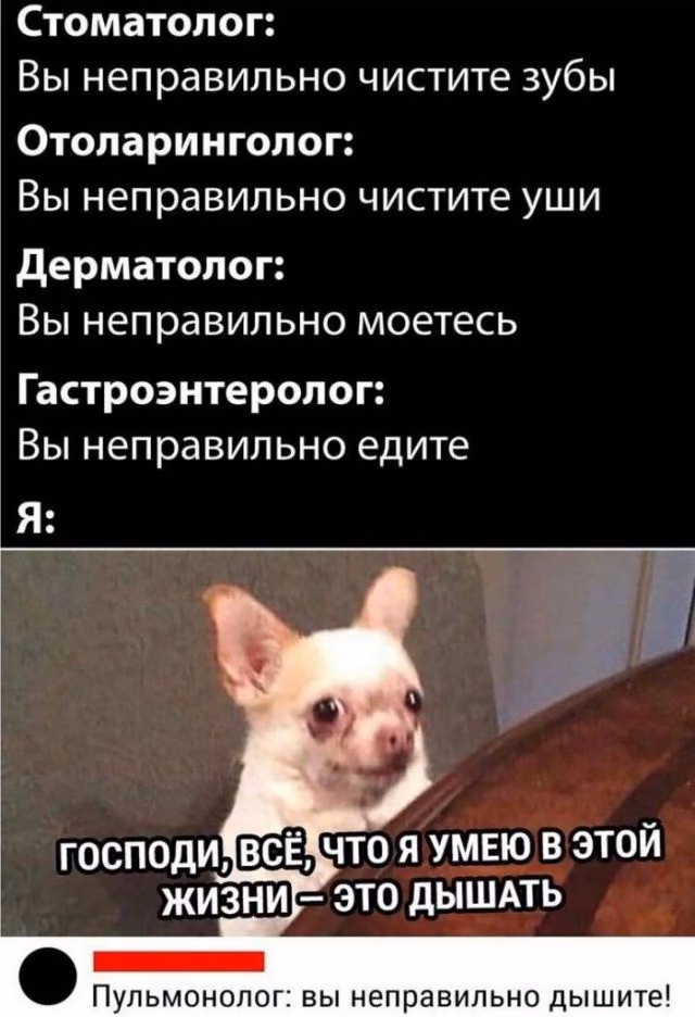 0c8b94a1e2e2f6637f01dccb867b61bc.jpg