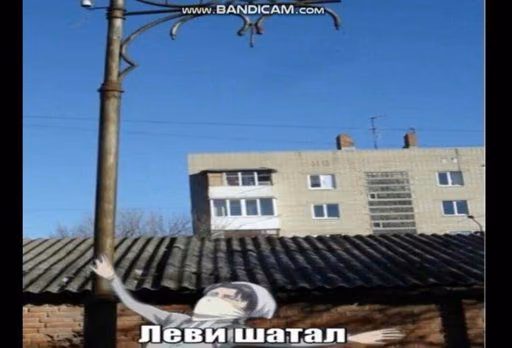 0ca1bc548a430e0bd1926cec3f8b529e.avif