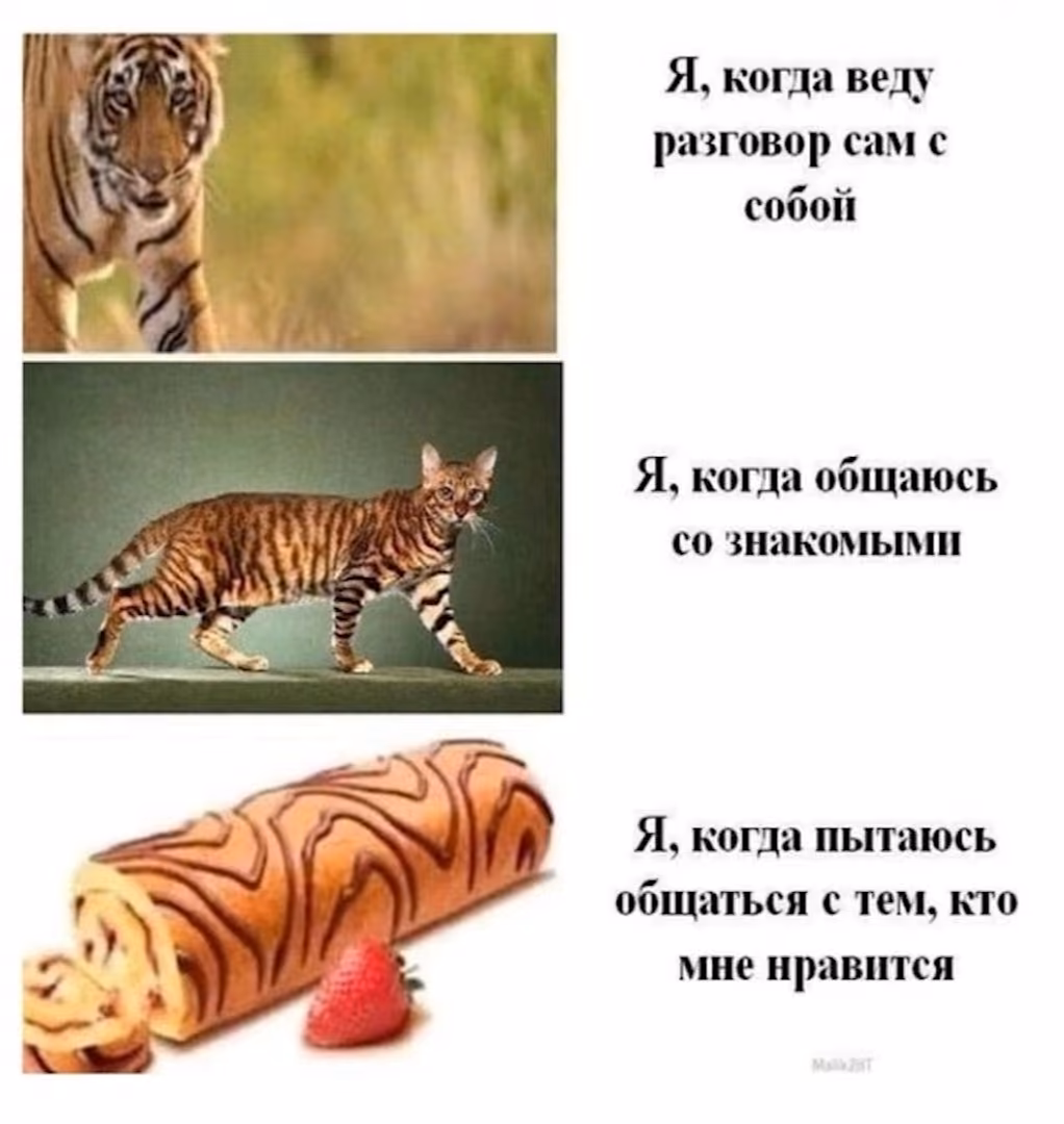 0ca3e4db881fc76f23895bda8b138c74.jpg