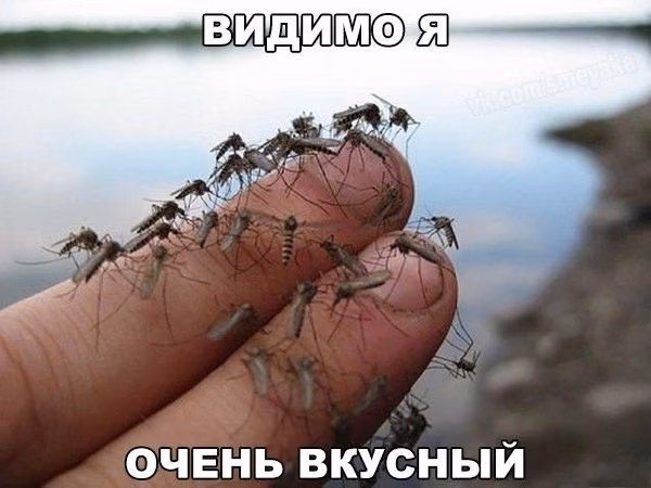 0ca89d35363e2b1c76232e052be65486.jpg