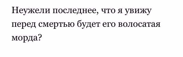 0cd9924ea8b723c4c56f1672e8be507f.avif