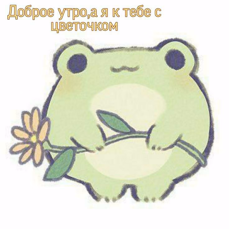 0cda5426d8ae9edfadac7a3174e713f4.avif