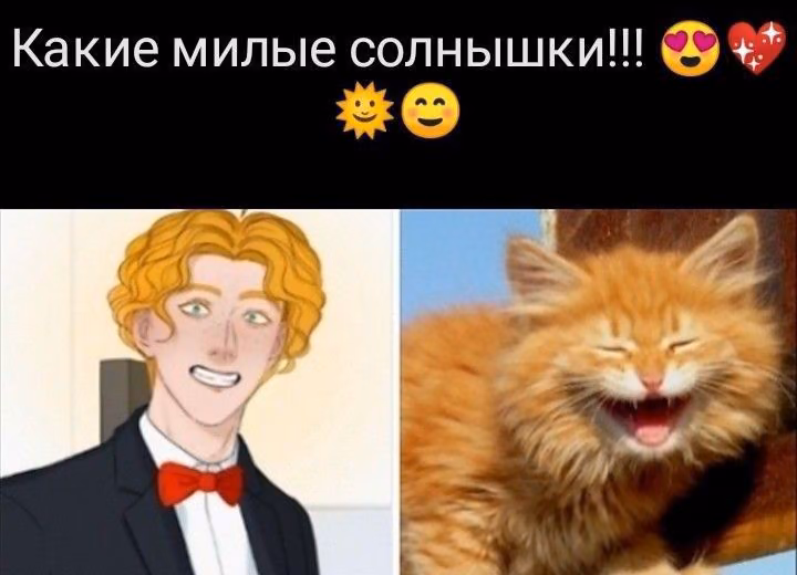 0cdf0e0a98837b2636917ae9877517b7.avif
