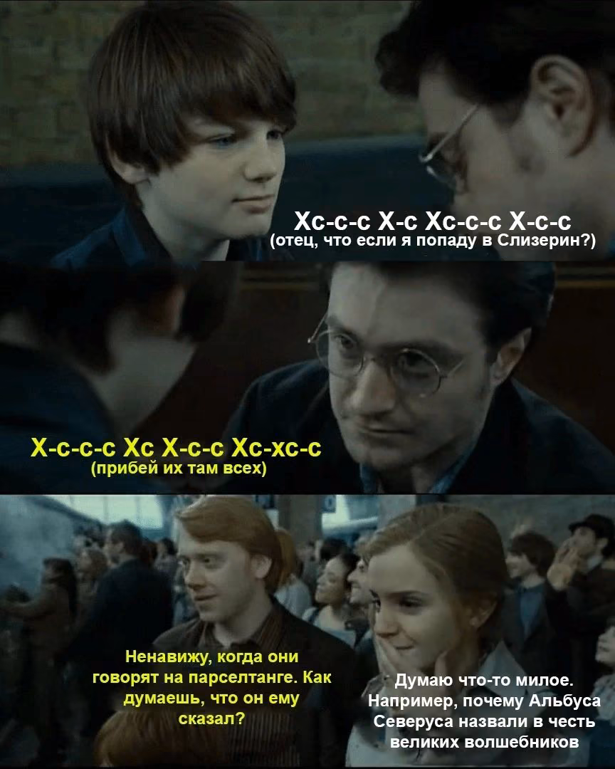 0ce50e779cef2a1a5c1f3878110ae98a.avif