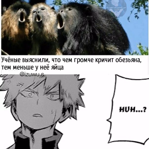 0ce8b56d88a3bcaa35f874dff8af8ebe.jpg