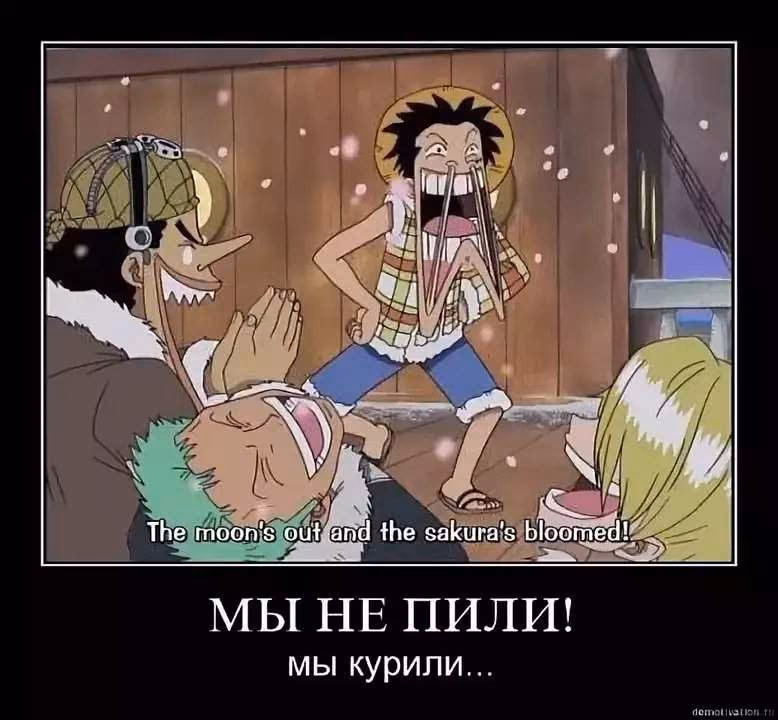 0cef2139329f01786a32d3a1e4d45599.jpg