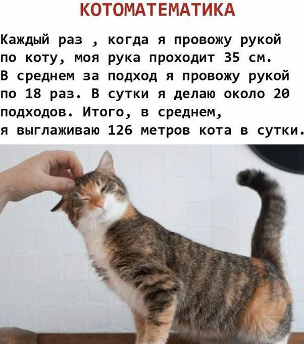 0cf700c3e0863331ae5ecd2334e81503.avif