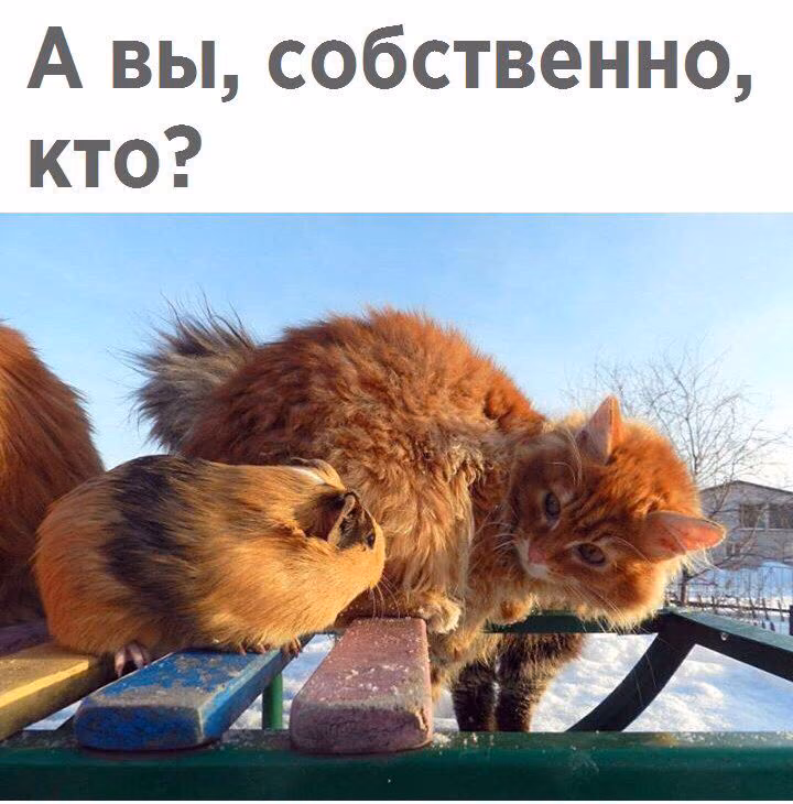0d07db4dd80446630babadfc4401e37c.jpg