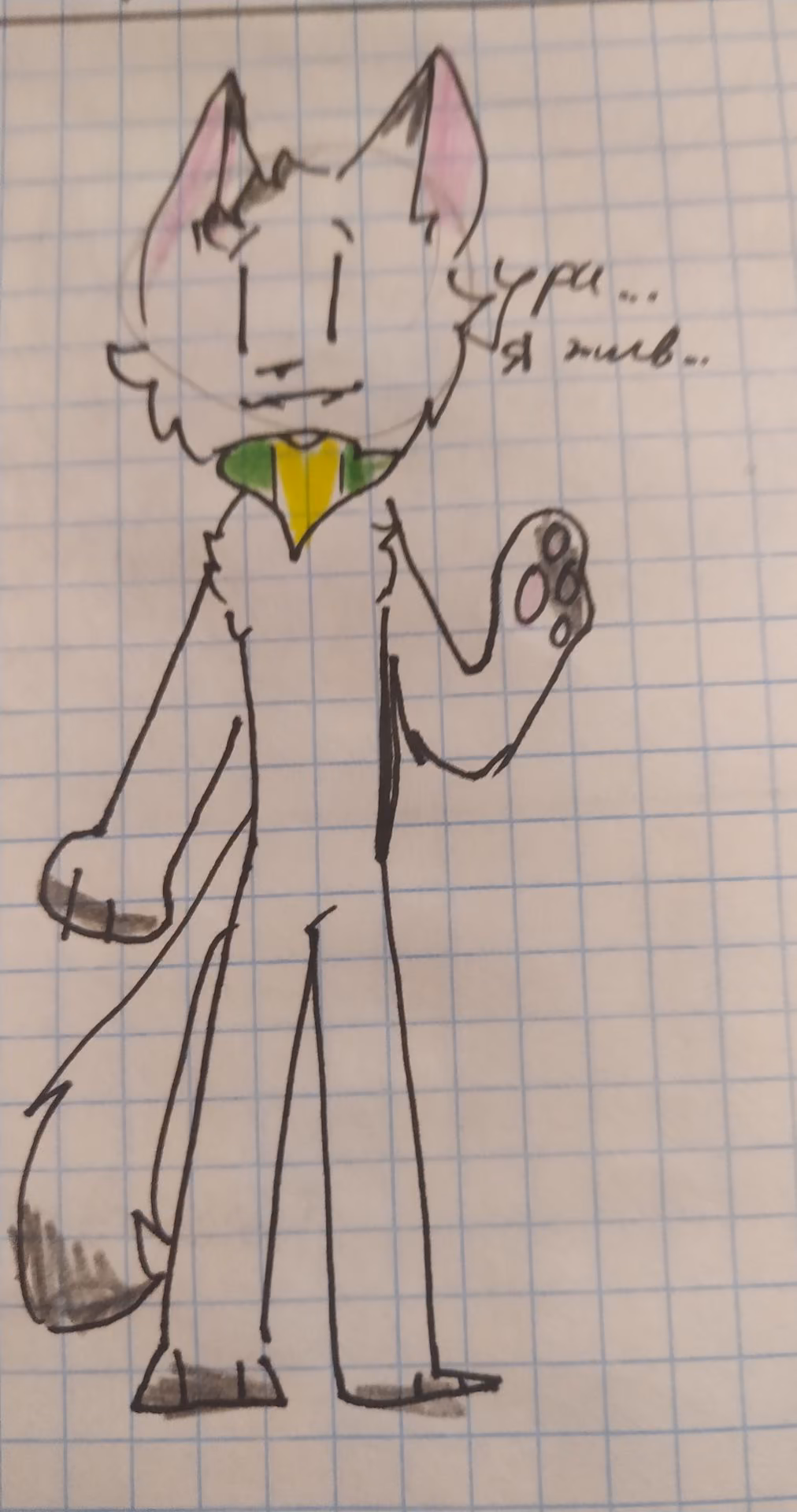 0d0be4dfd87311c702688d0dc01e2adb.avif