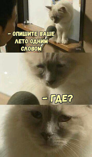 0d181c423cc5611f4980cc51673dca1c.avif
