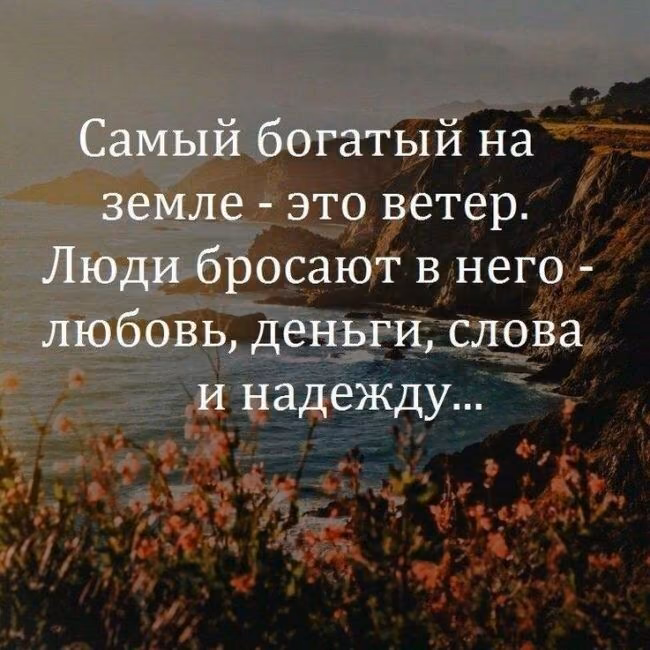 0d263adcd7448bed520bef84ce43fc2a.avif