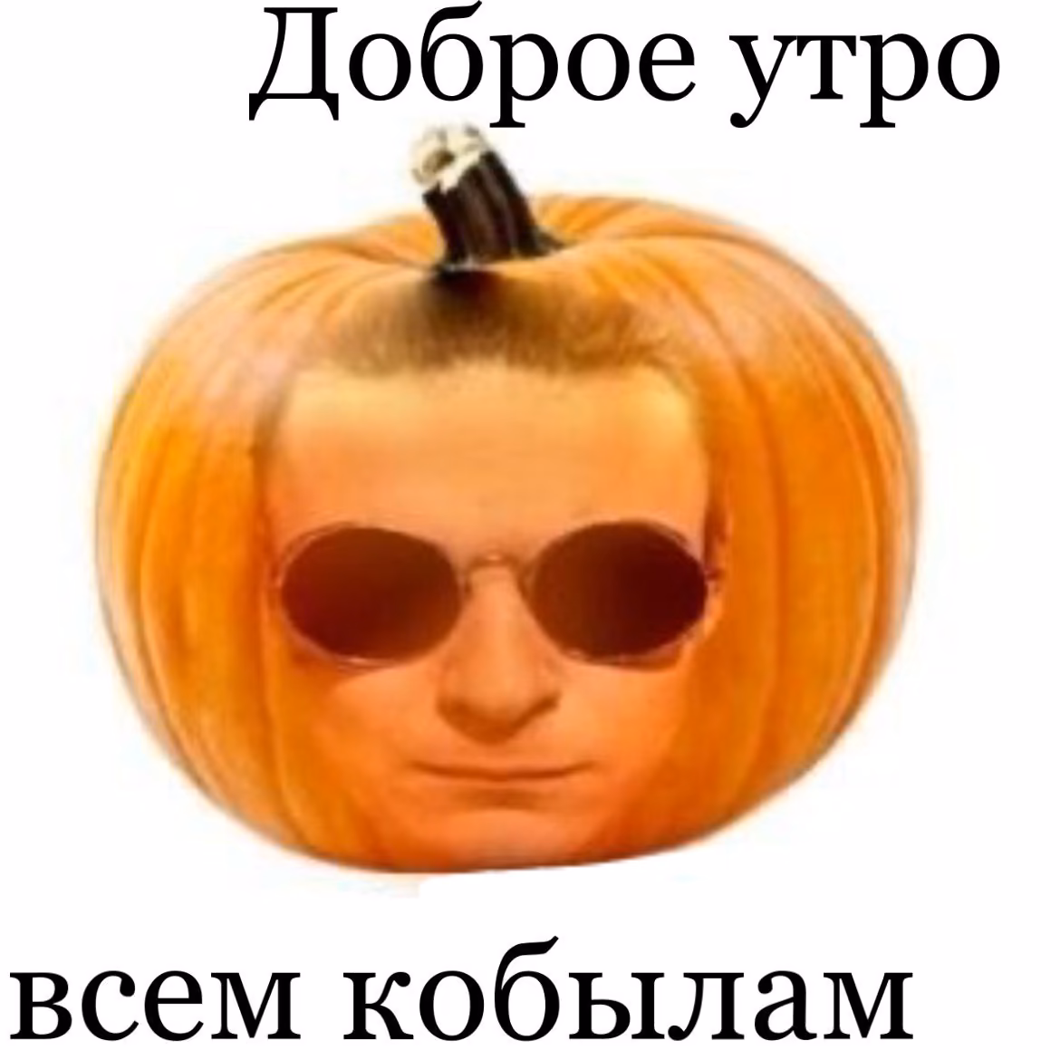 0d2a55d1abc8baea15393ac6861bbcbd.avif
