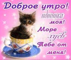 0d339a54b9d1b86b99fa19d92bfd6241.jpg