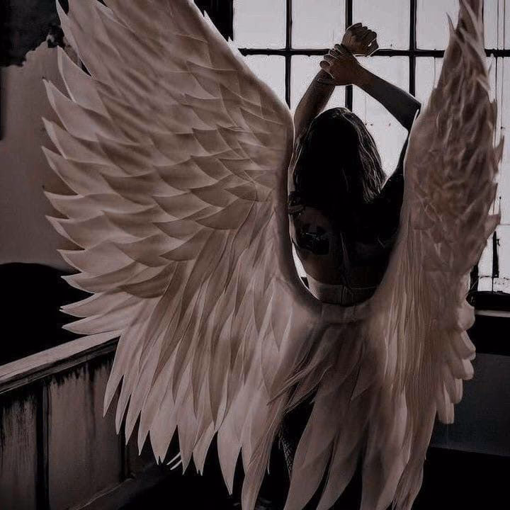 0d48e0807fabeb29e818e6c002d2dbd5.avif