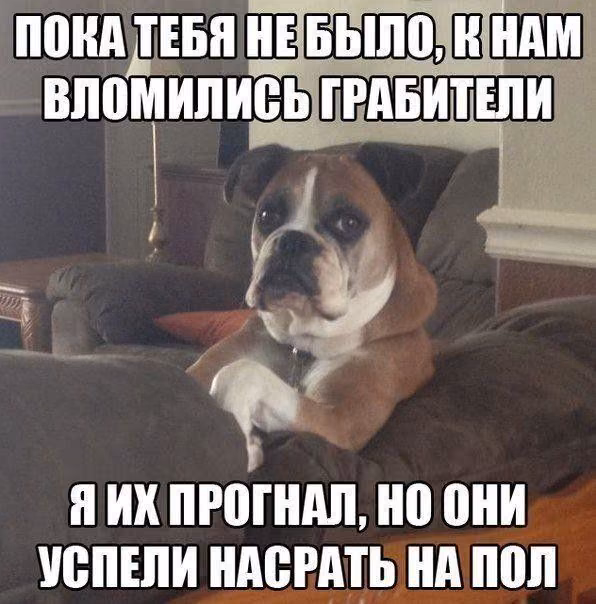0d530f81c22ea8fb8edb43b777f9b6f0.jpg
