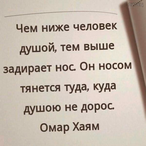 0d547757727cd8887ecbb0d25977d56d.jpg