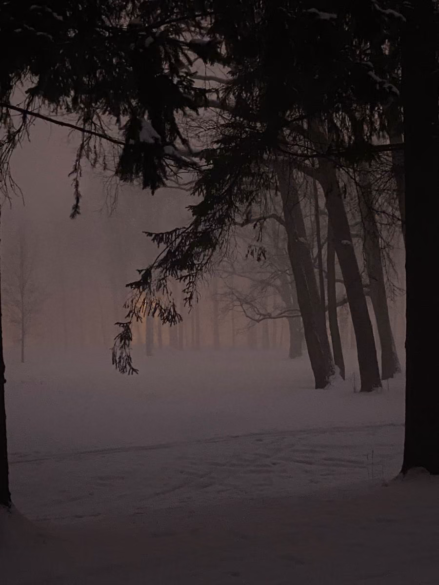 0d56212d7118677433c782c0514cadf3.avif
