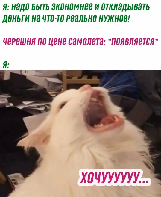 0d58094a3b32686f737b3c4e3f52cf0e.avif