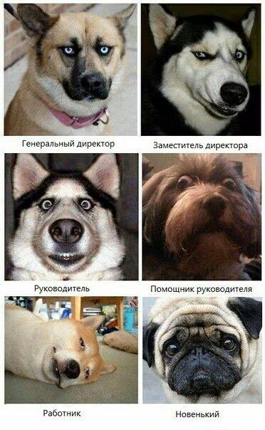 0d6960e6dff43eb32988afa9b6c8fda7.jpg