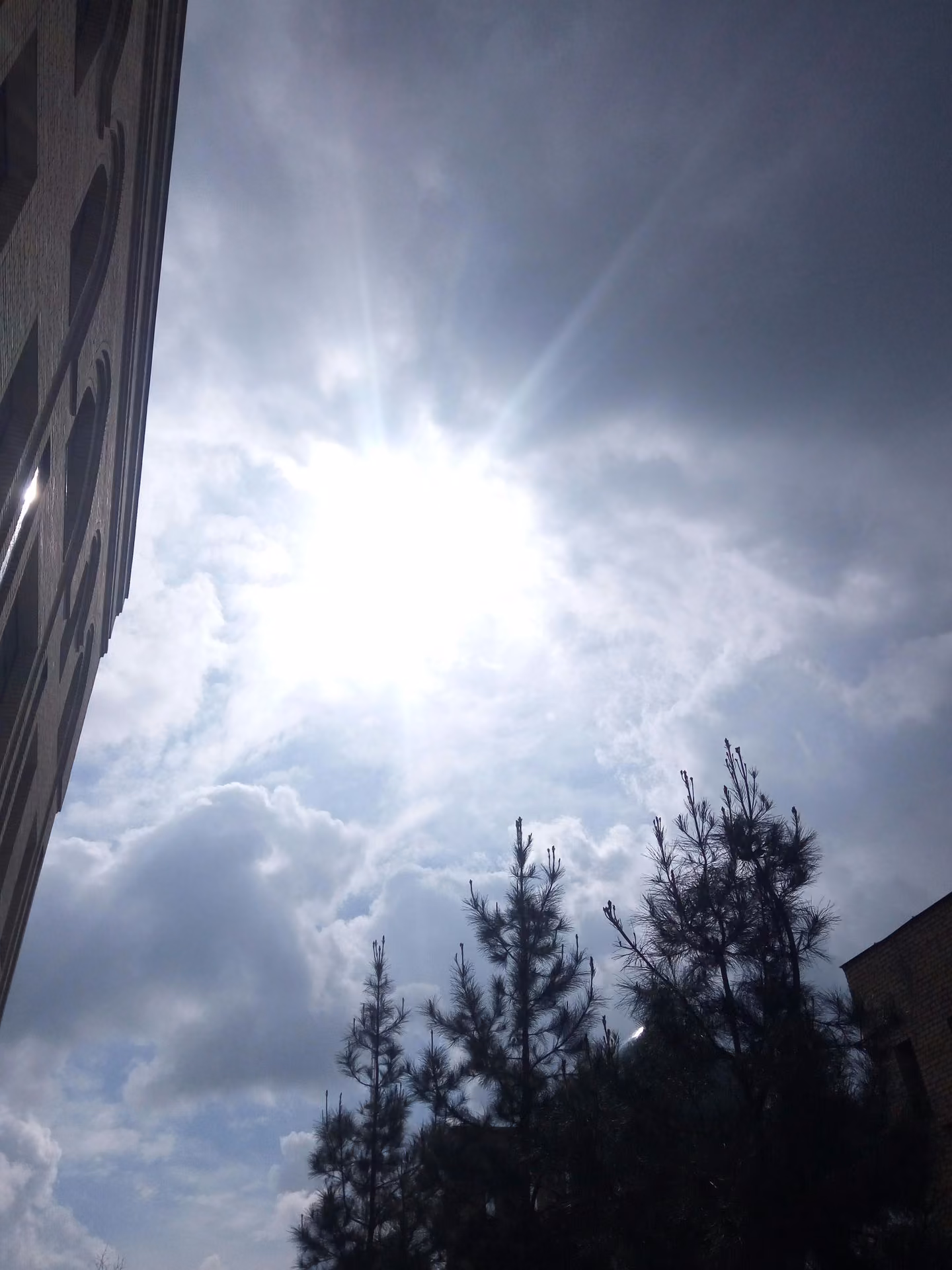 0d6e7c20675c5703142b36dac44ddca7.jpg