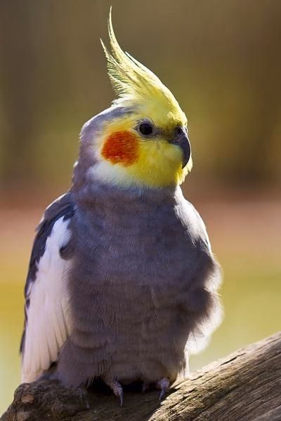 0d73f027b990de7d2cfe991721f8df41.avif