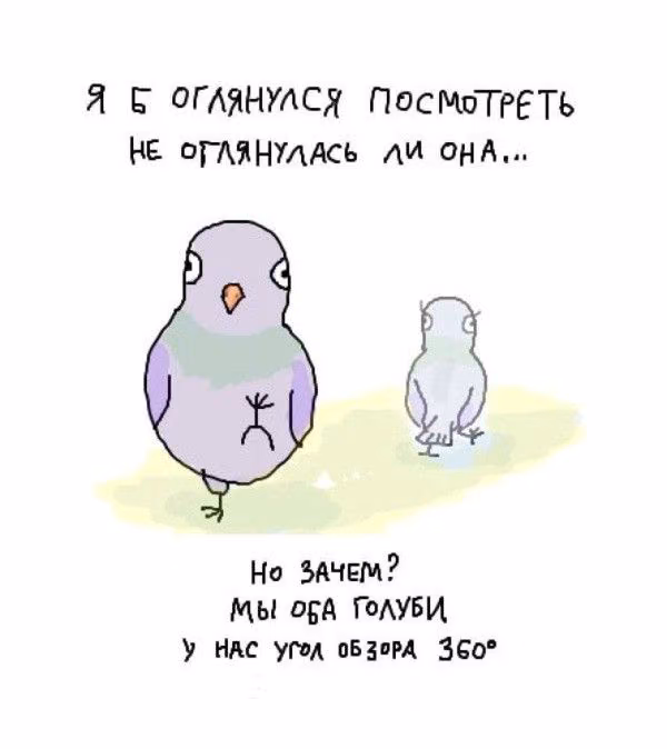 0d76f8e8a41c6d388b2d6e62511831c3.jpg