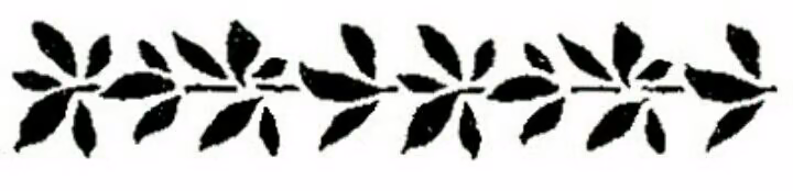 0d7be13335a2acff5fd1ae6084c82c7c.avif