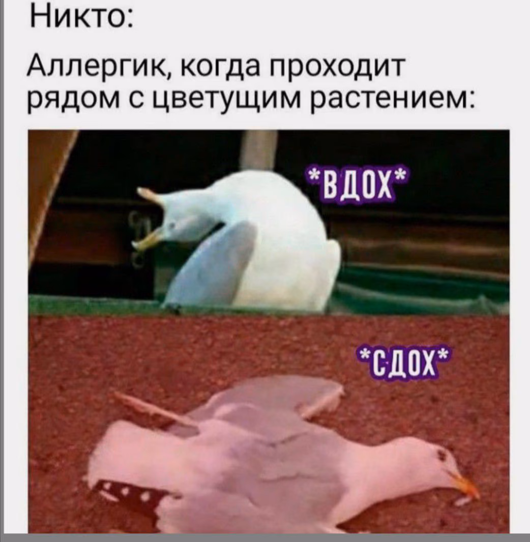 0d836e508f4813a2719a8db967ff4332.avif