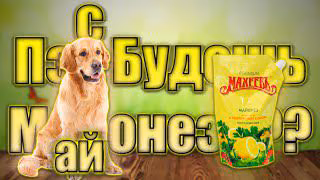 0d8abce6693cb88d395ff3c2c703ce43.avif