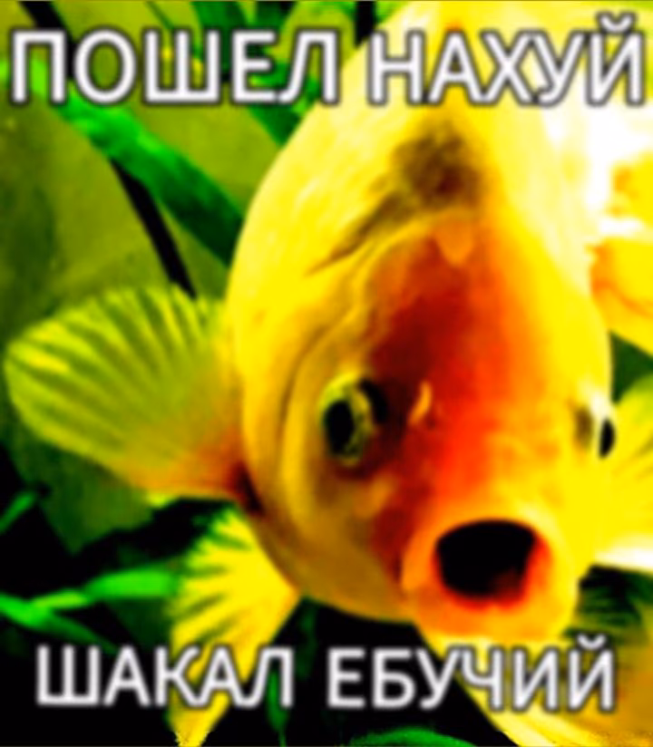 0d9180f2c8f676584b3538aef3d65c32.avif