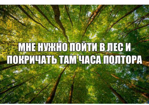 0d9635eadaeb46b79588e6e43fe1da35.jpg