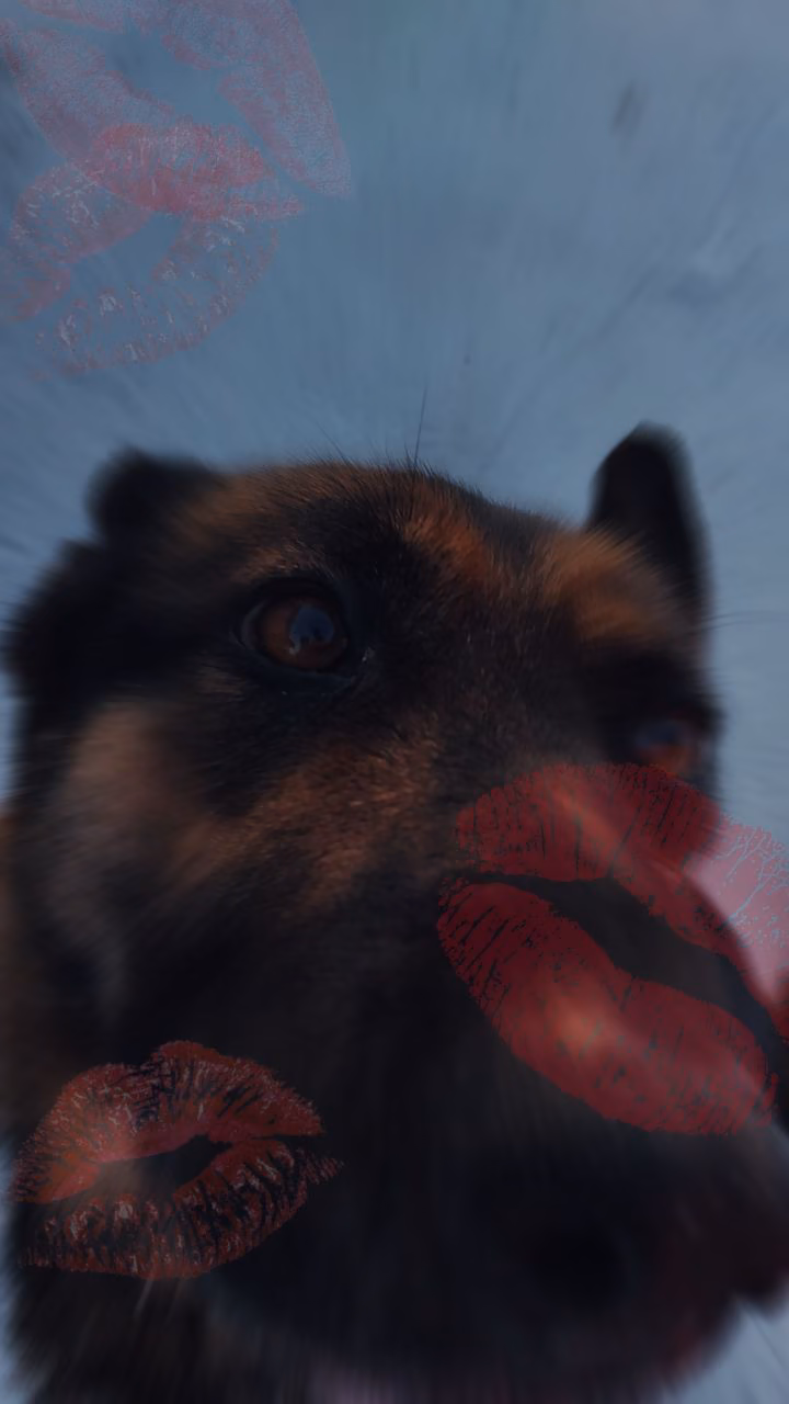 0dba0f233c7fb4563feaf0064e1ab316.jpg