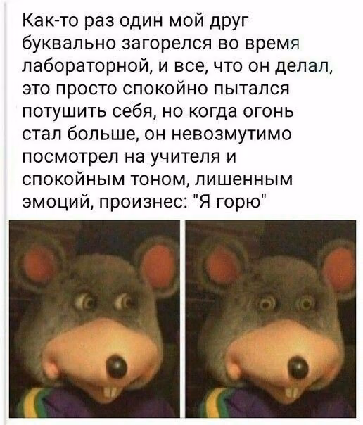 0dc10d6fd3706e0261f54b7687ad11e3.avif