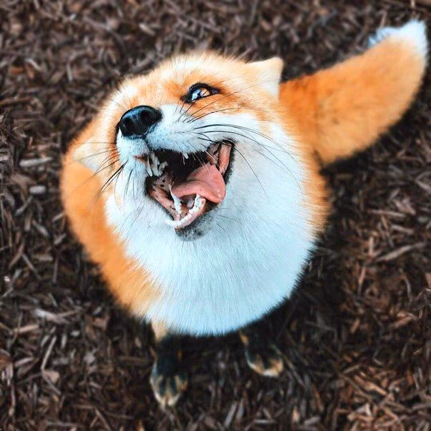 0dc31ee93f6e6c4fc78d2ee35e35c0e0.jpg
