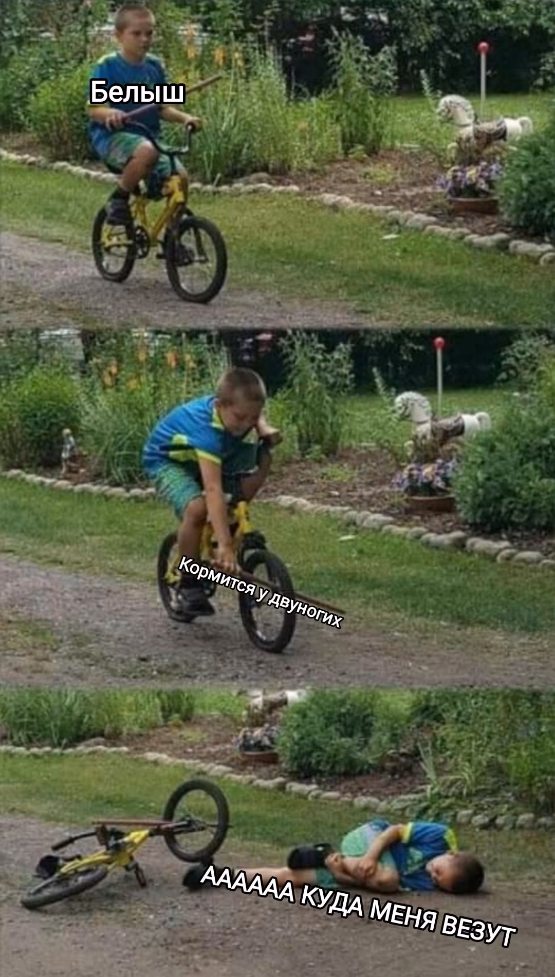 0dc43212781dd4624e5bbda9d6fb2e13.avif