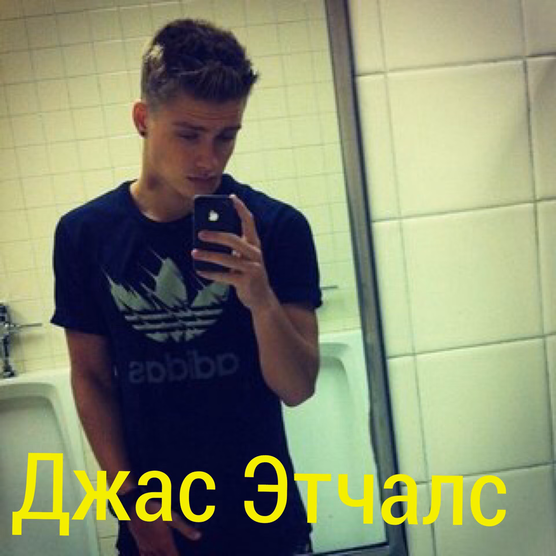0dc537216a6e437b3ab3ff793e21d683.avif