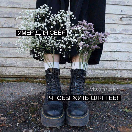 0dceb28593fc6fb20018a27598089167.avif