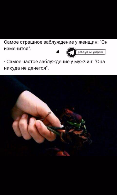 116a9090ad0527f67c55fdcb34e235c3.jpg