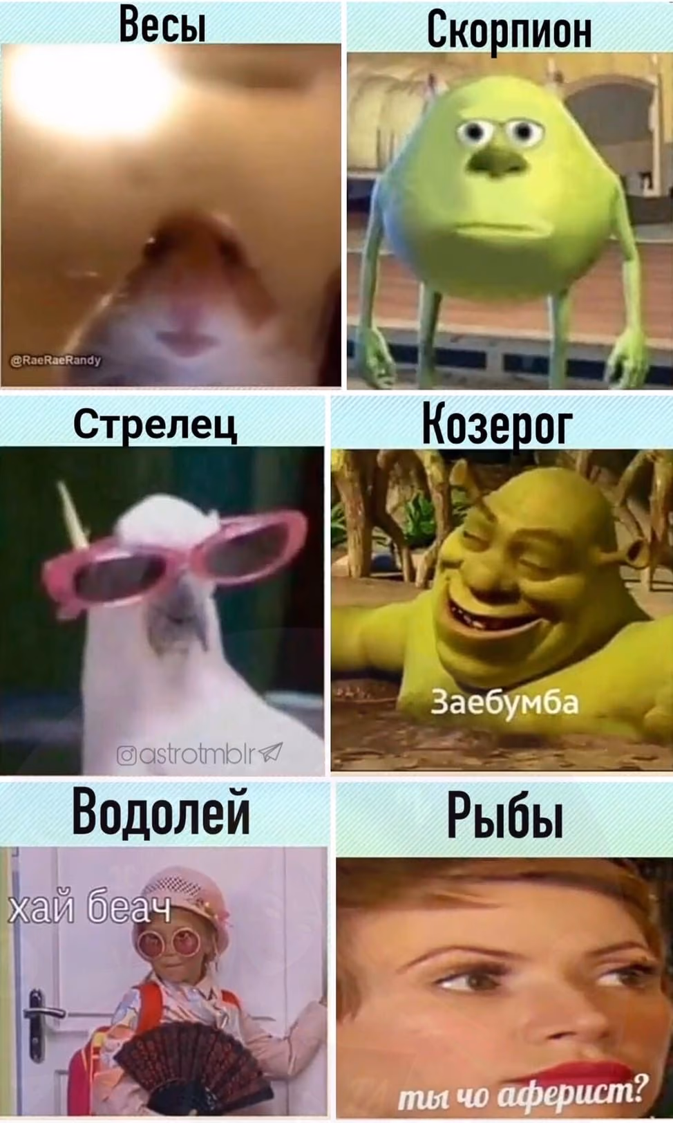 0dd621083966244d4a481f07771f3656.avif