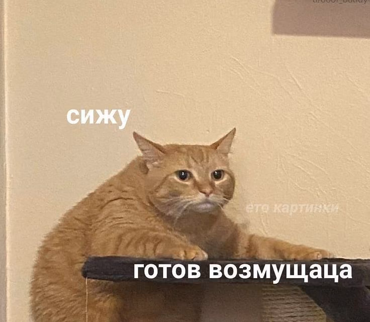 0dede89ecff842c757c0a7ae9a270b1e.jpg
