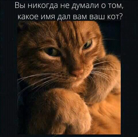 0df0eda86f249d56353e200612ea2229.avif