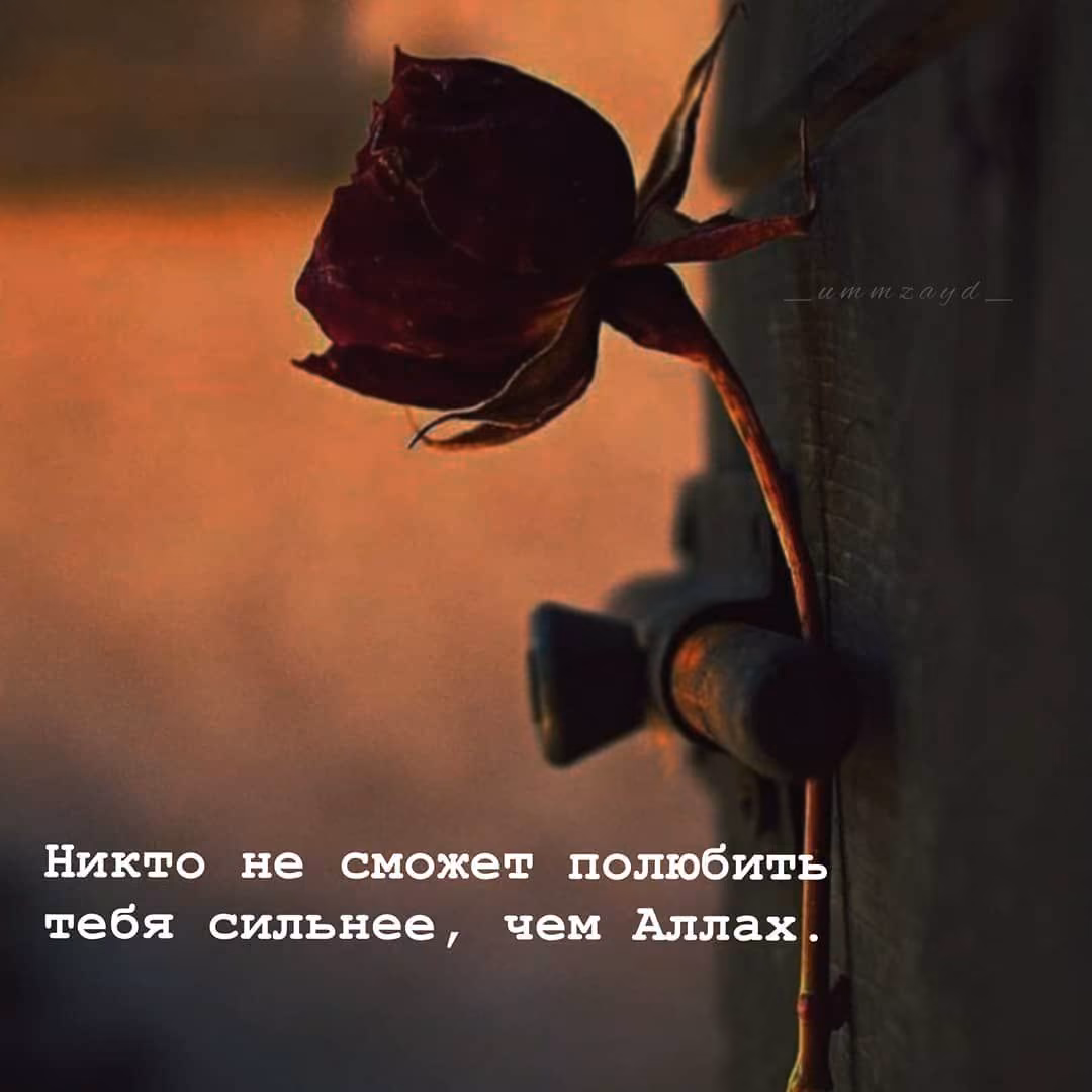 0df3264a69205dcb5a6af122cc6633dd.avif