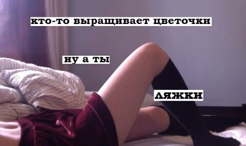 0dfaabb78d91fa52ceccb219b3bf88fd.jpg